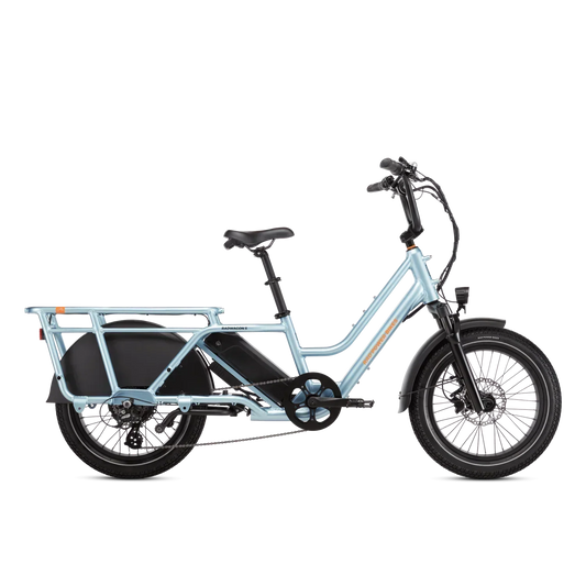 Rad Power Bikes RadWagon 5 Electric Cargo Bike