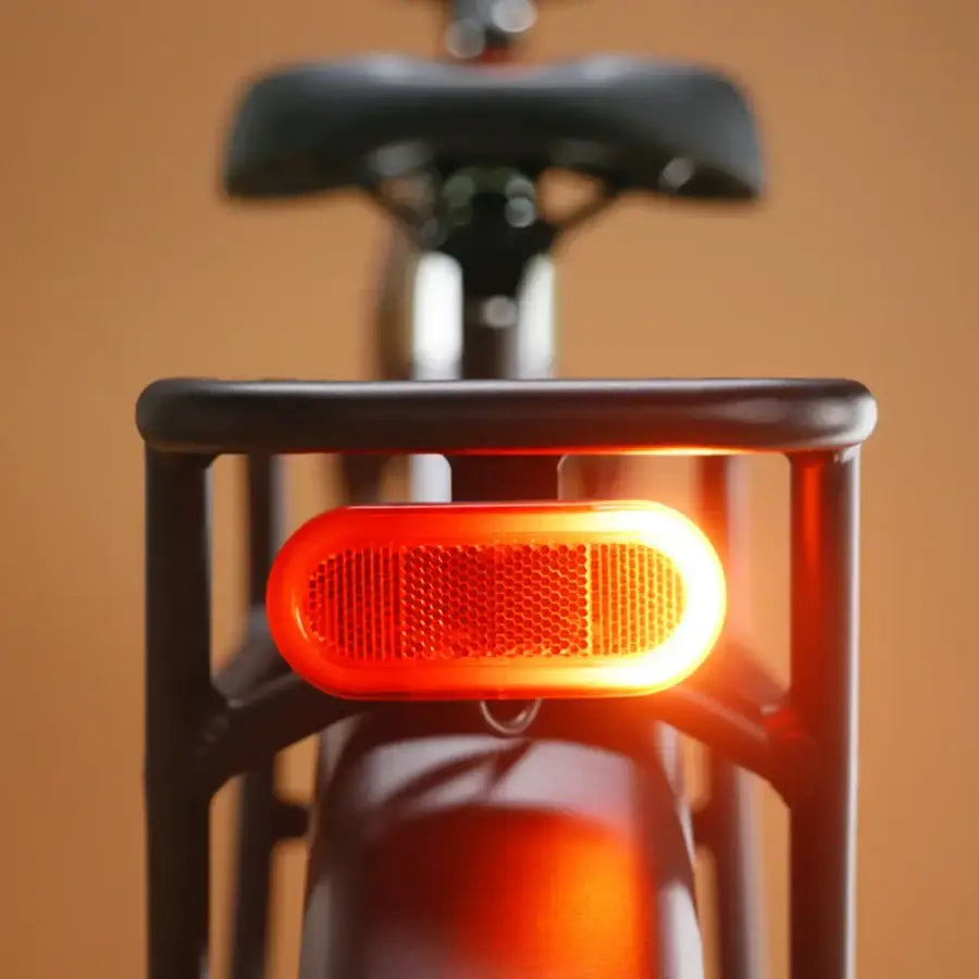 Rad Power Bikes Radster Trail Electric Off-Road Bike